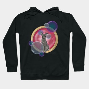 Oriental cat with soap bubbles on the background of a large red ruby Hoodie